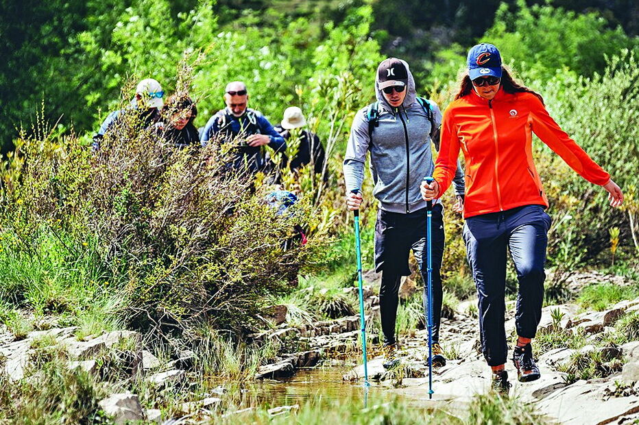 Organização adianta que os resultados “são interessantes” 
