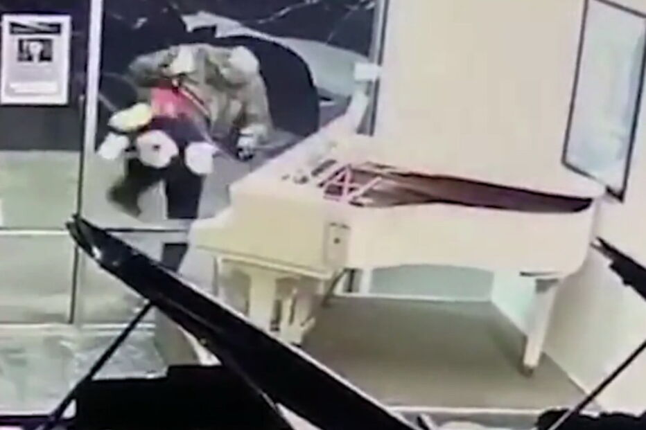 As imagens das câmaras de vigilância captaram o suspeito a roubar o brinquedo no valor de 22 euros. 