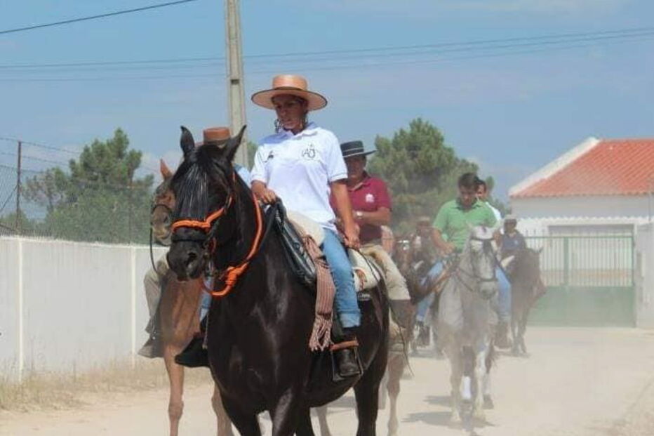 Três homens roubam égua na Moita, em Setúbal