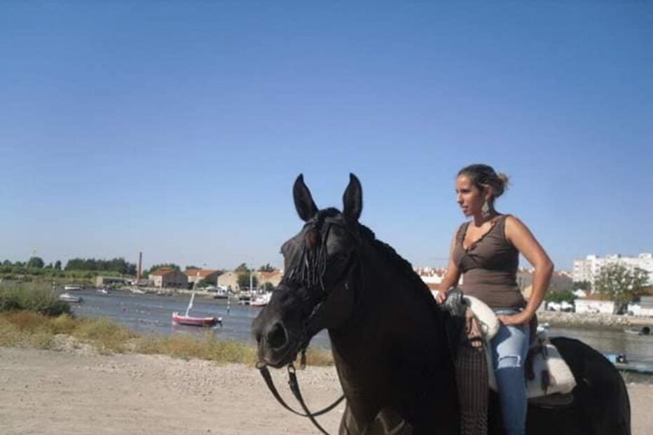 Três homens roubam égua na Moita, em Setúbal