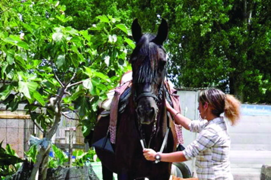 Égua foi levada na noite de domingo