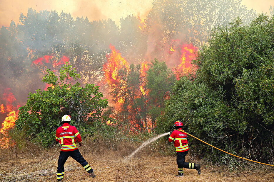 Incêndio em Monchique