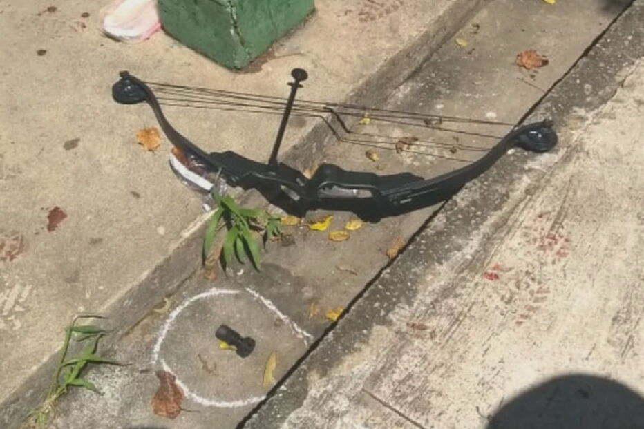 Besta usada no ataque a escola de São Paulo