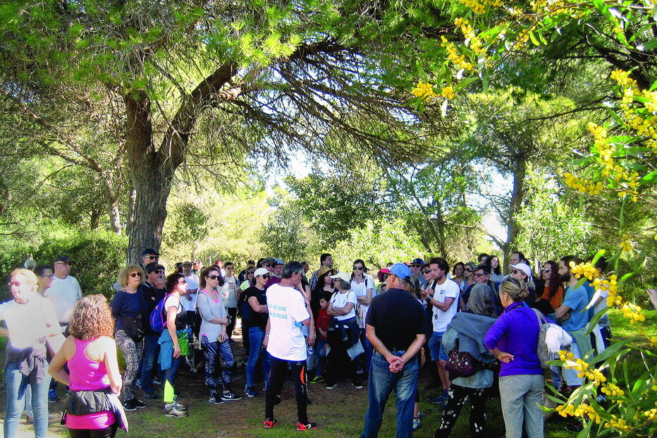 Grupo de cidadãos tem promovido contactos com especialistas 