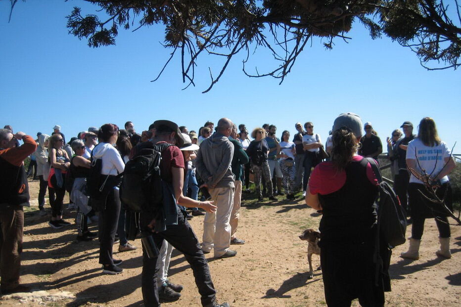 Grupo de cidadãos tem promovido contactos com especialistas 