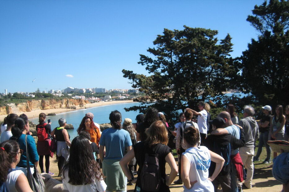 Grupo de cidadãos tem promovido contactos com especialistas 