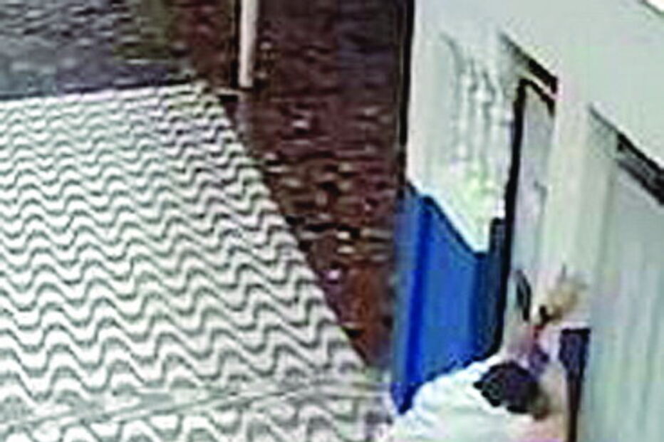 Homem escorrega de escadote mas consegue cair de pé sem ferimentos