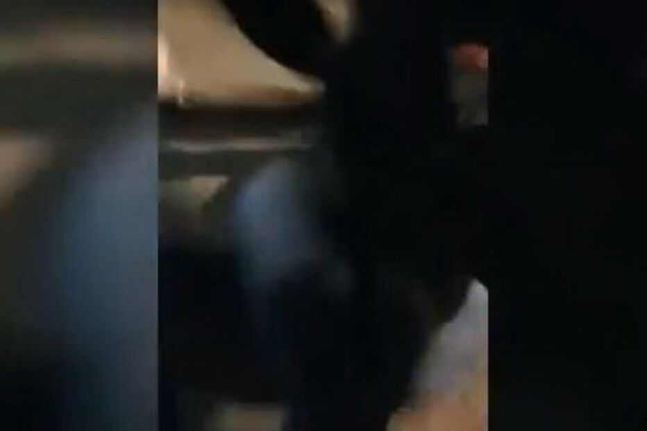 Vídeo de ataque homofóbico causa indignação em Espanha