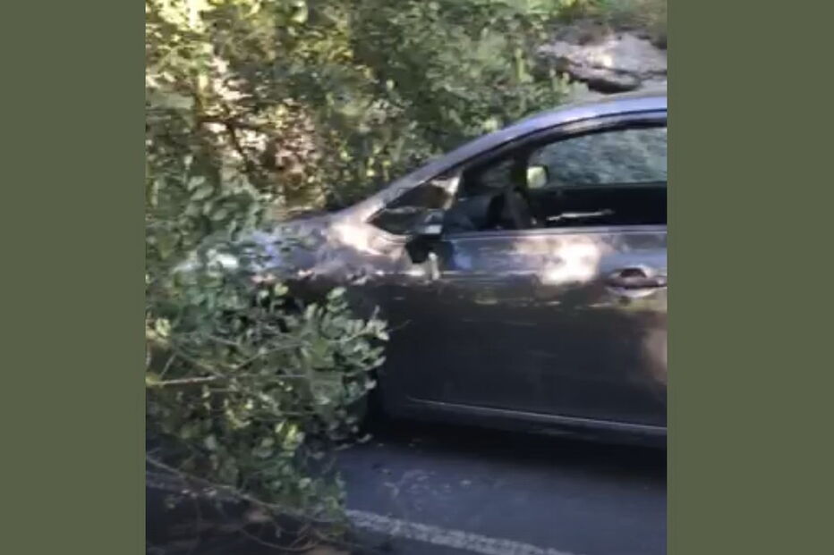 Árvore cai sobre carro em estrada de Loures