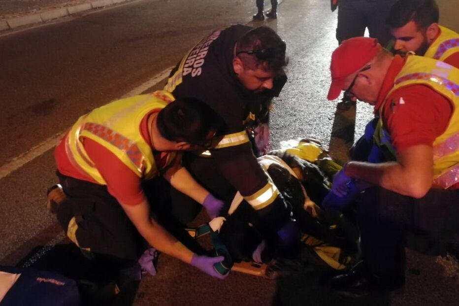 Bombeiros salvam cão após atropelamento em Albufeira