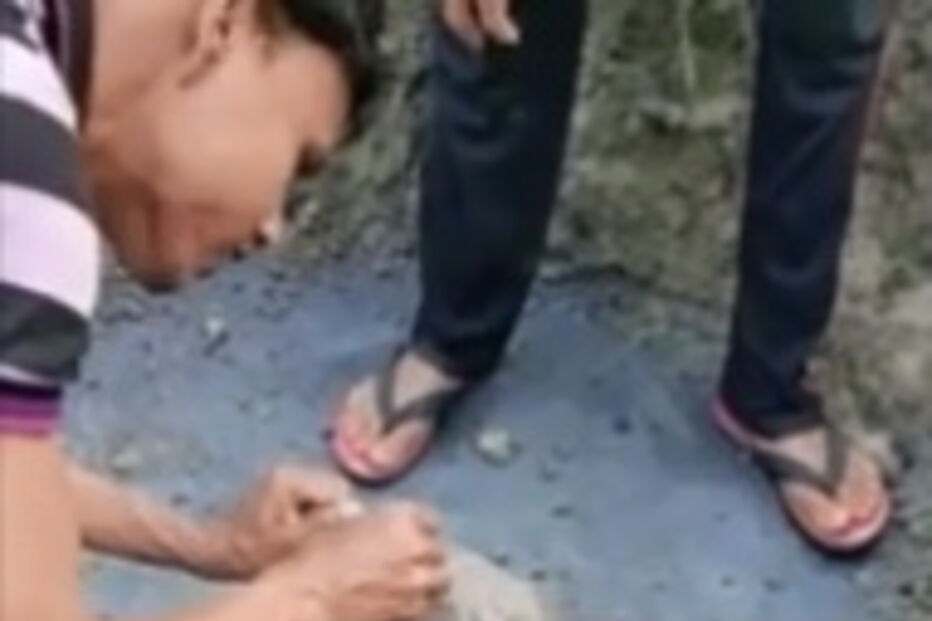 Aldeãos resgatam cão com jarro enfiado na cabeça