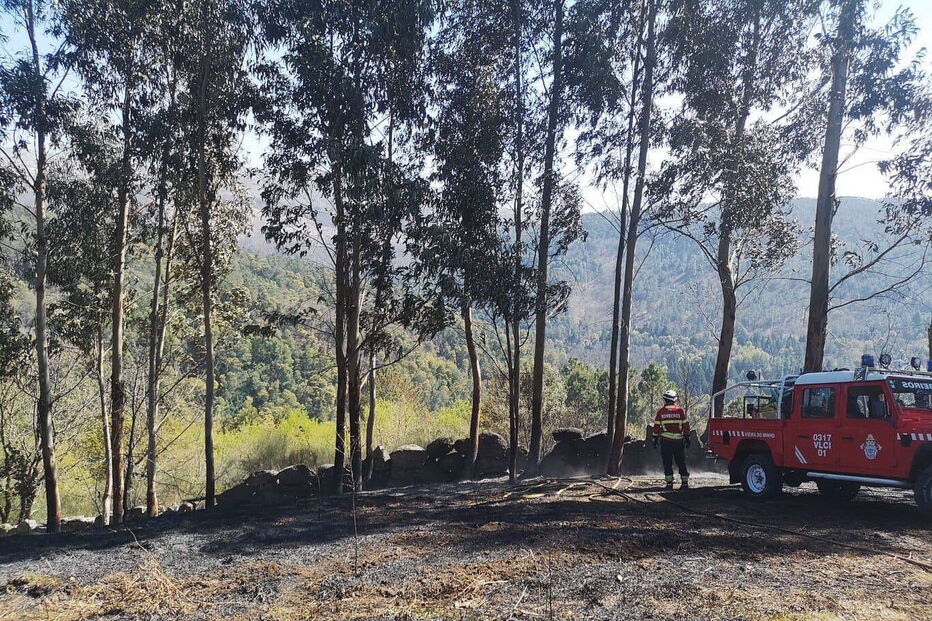Fogo em Vieira do Minho