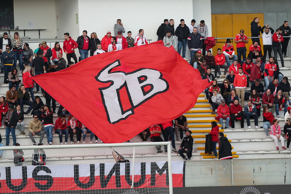 Jogo entre Benfica e Moreirense para a Primeira Liga