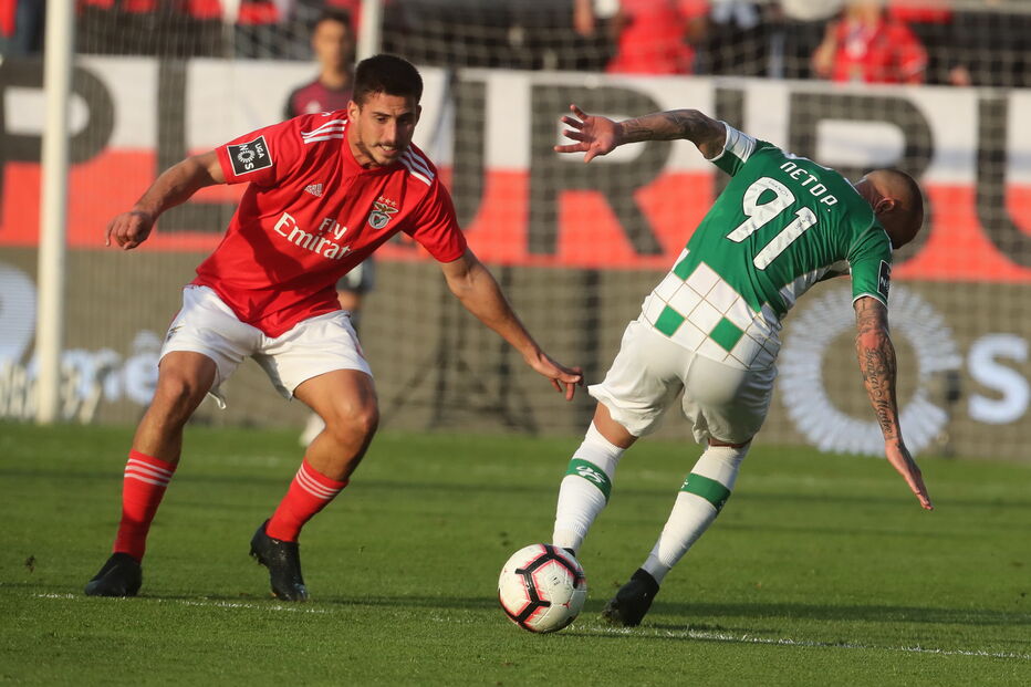 Jogo entre Benfica e Moreirense para a Primeira Liga	