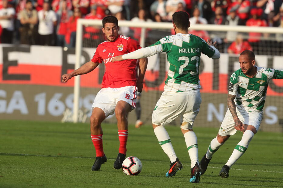 Jogo entre Benfica e Moreirense para a Primeira Liga	