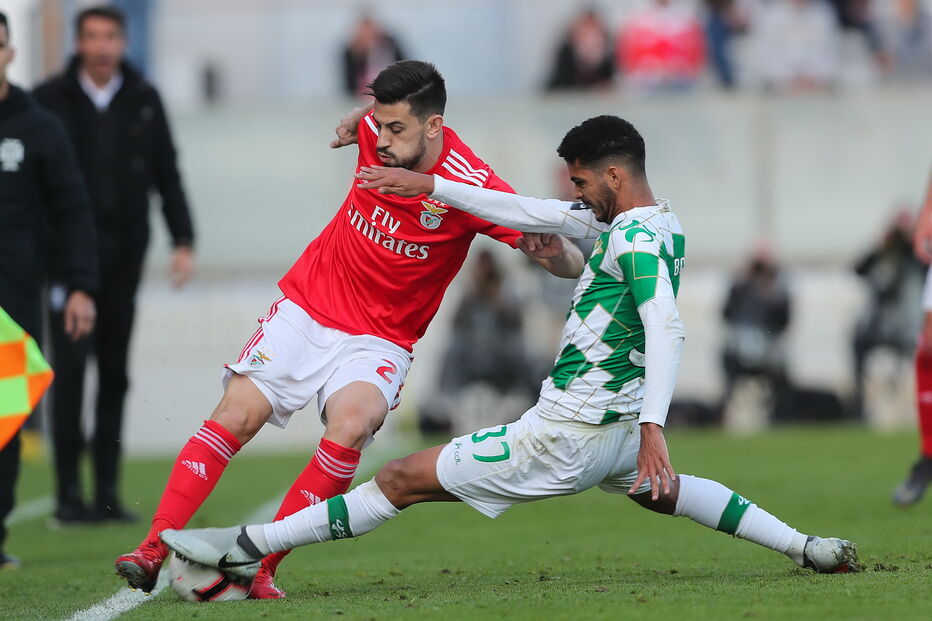 Jogo entre Benfica e Moreirense para a Primeira Liga	