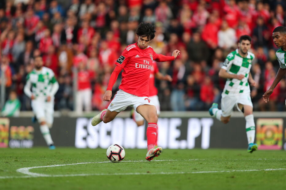 Jogo entre Benfica e Moreirense para a Primeira Liga	