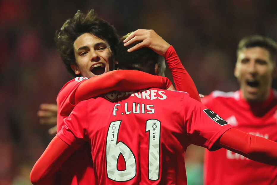 João Félix, Benfica