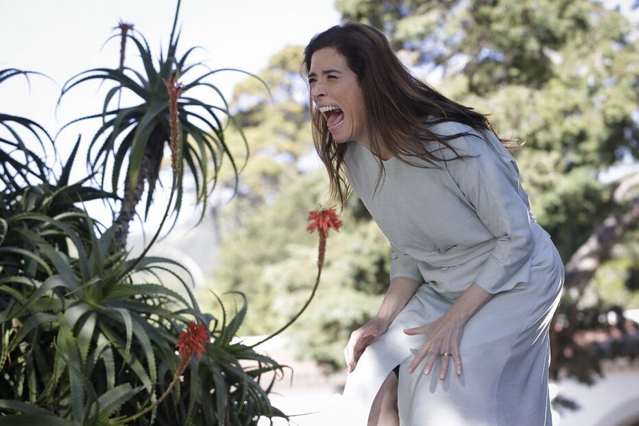 Estreia hoje a telenovela da CMTV 