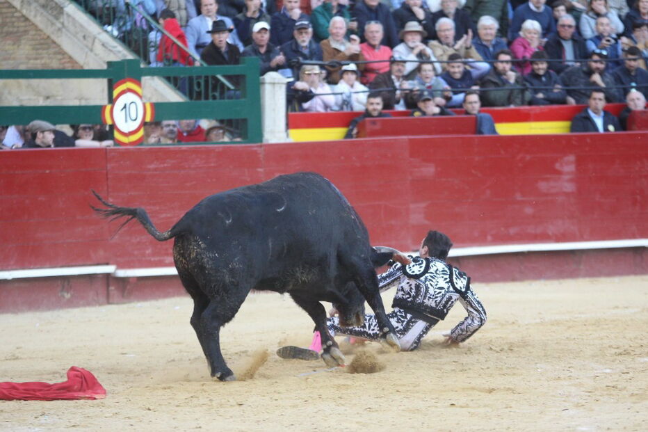 Matador Enrique Ponce foi colhido por um touro em Valência
