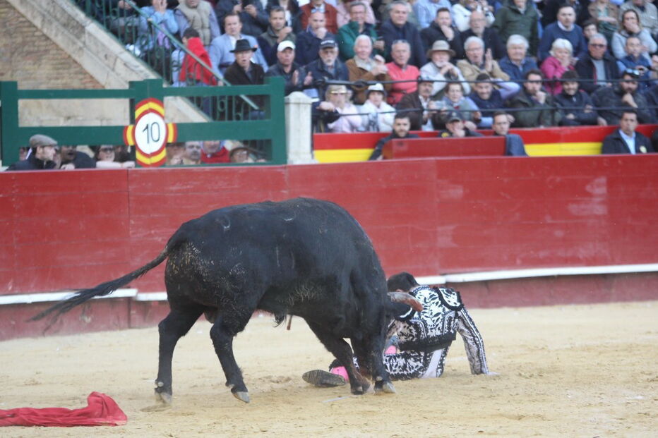 Matador Enrique Ponce foi colhido por um touro em Valência