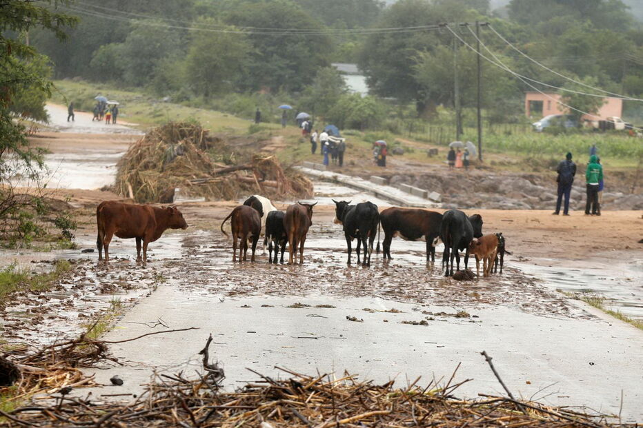 Imagens mostram destruição provocada por ciclone em Moçambique