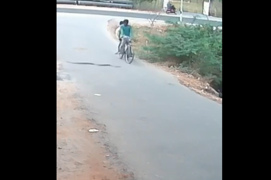 Ciclistas apanham susto de morte quando cobra se prende na roda