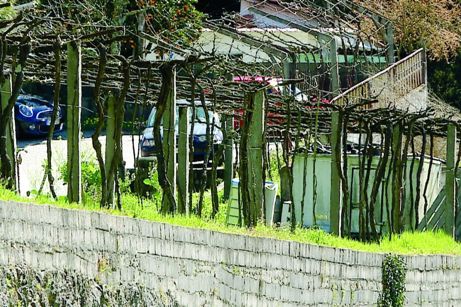 José da Luz Antunes morreu em queda quando podava árvore em casa