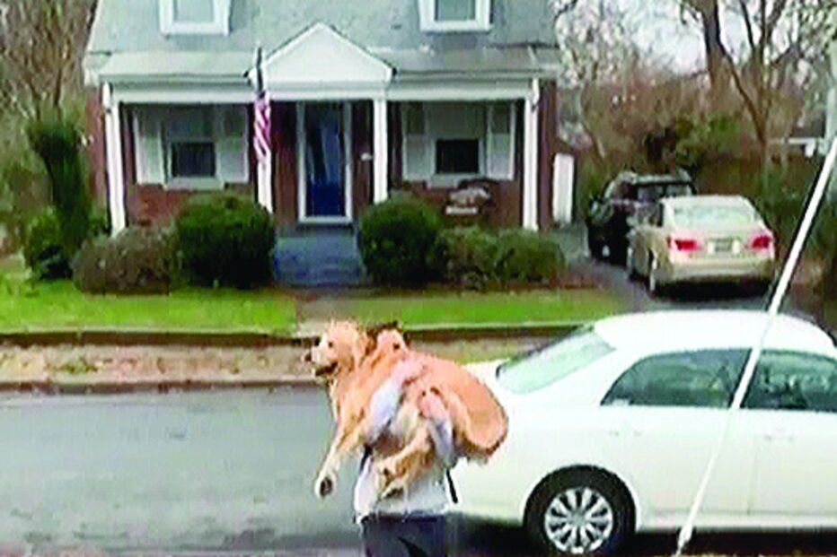 Cão salta de alegria para cima do dono em reencontro eufórico