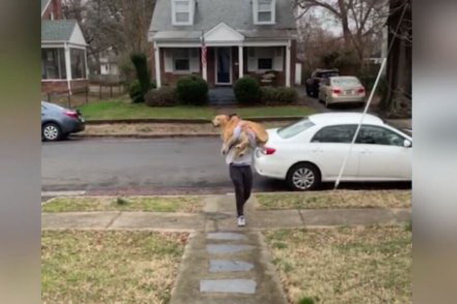 Cão salta de alegria para cima do dono em reencontro eufórico