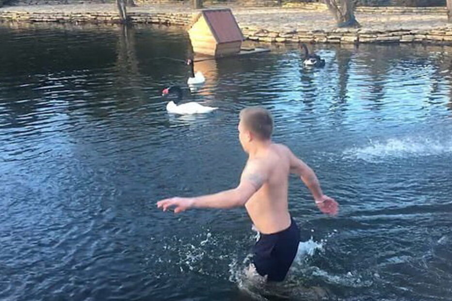 Homem nada em lago privado e é expulso por cisne