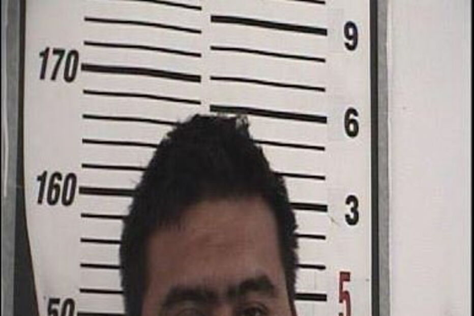 Homem detido após ser apanhado em flagrante a fazer sexo com vaca