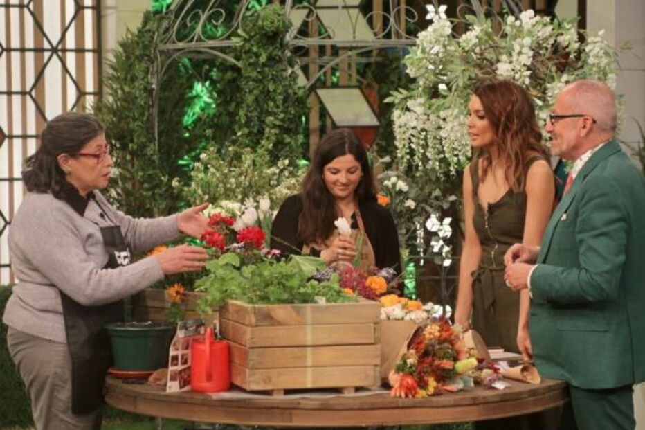 Você na TV inicia programa com tema de Primavera