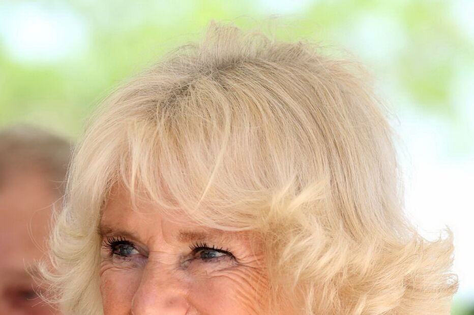 2019-03-21_12_29_06 Reuters camilla.jpg
