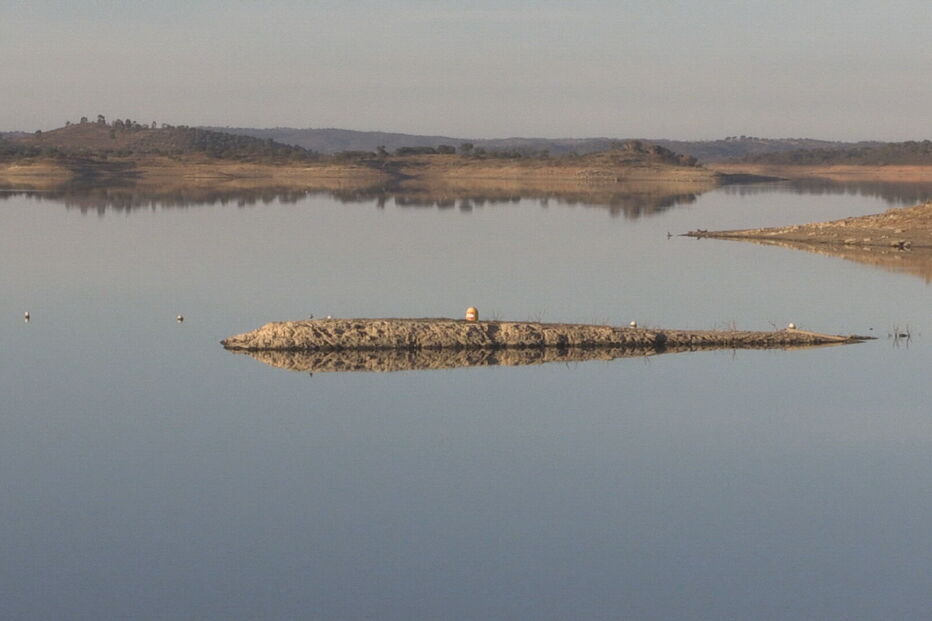 Estado pré-contrata camiões cisterna para fazer frente à seca 