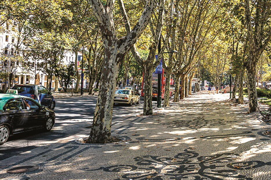 Detidos na avenida da Liberdade  