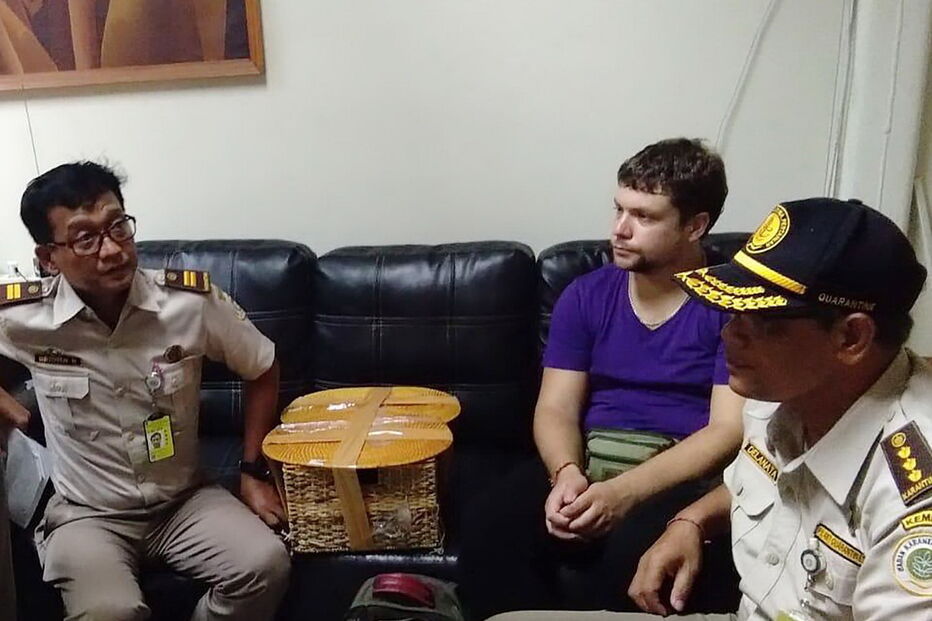 Turista russo detido em aeroporto de Bali por tentar transportar orangotango na mala