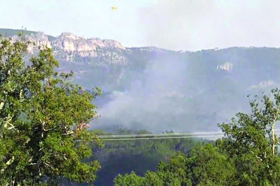 Fogo em Proença-a-Nova