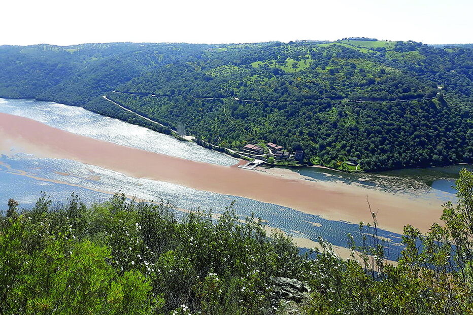Poluição no Tejo