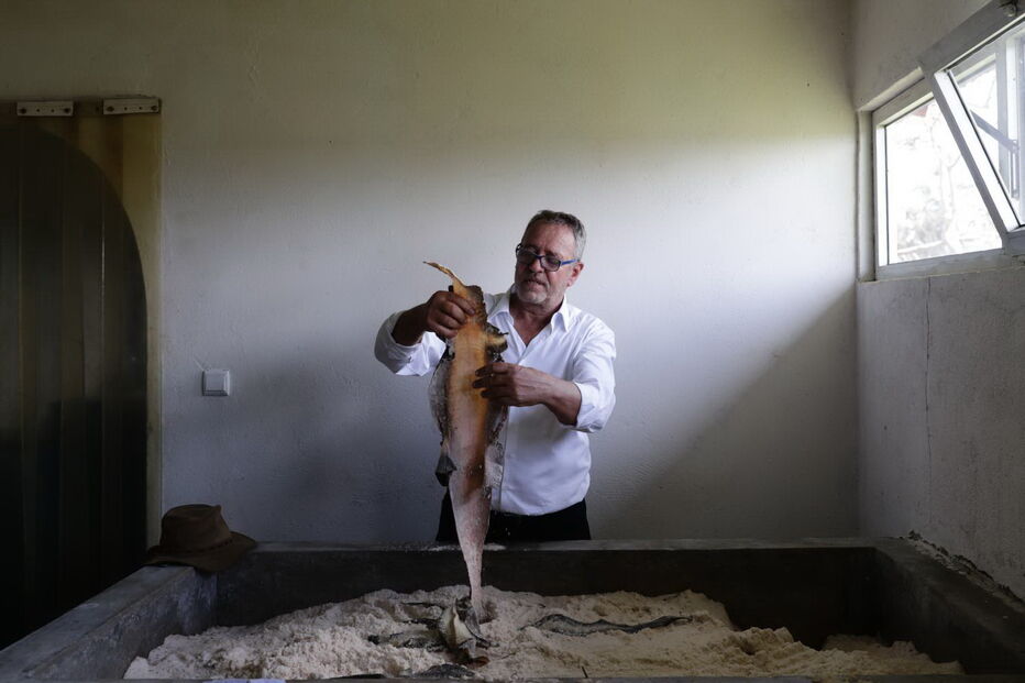 40 homens guardaram 26 mil crocodilos de um português em Moçambique e impediram uma tragédia	