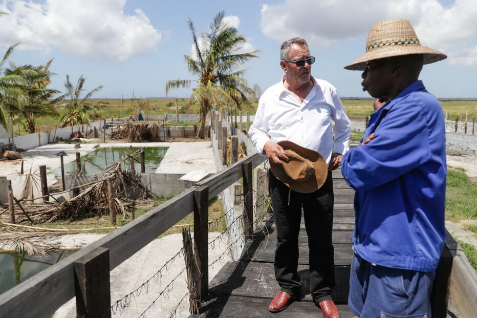 40 homens guardaram 26 mil crocodilos de um português em Moçambique e impediram uma tragédia	