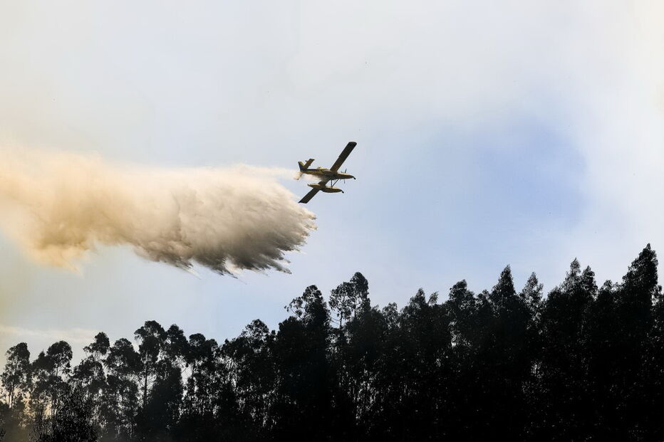 Quatro meios aéreos combatem incêndio em Oliveira de Azeméis