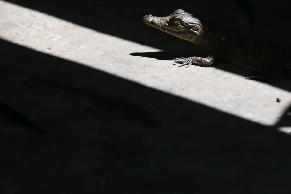 2019-03-26_15_31_17 M2-18067825.JPG