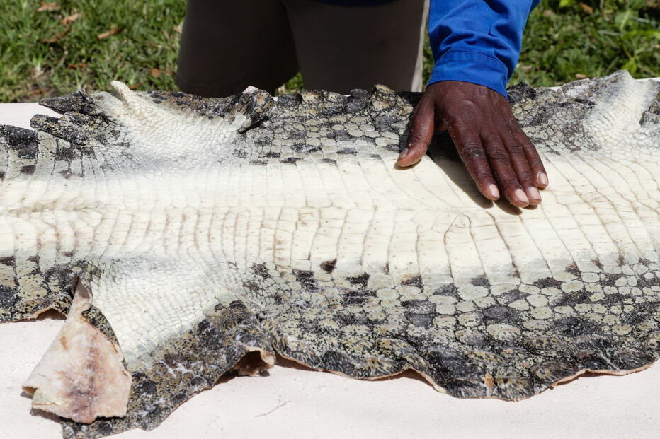 2019-03-26_15_31_18 M2-18067827.JPG