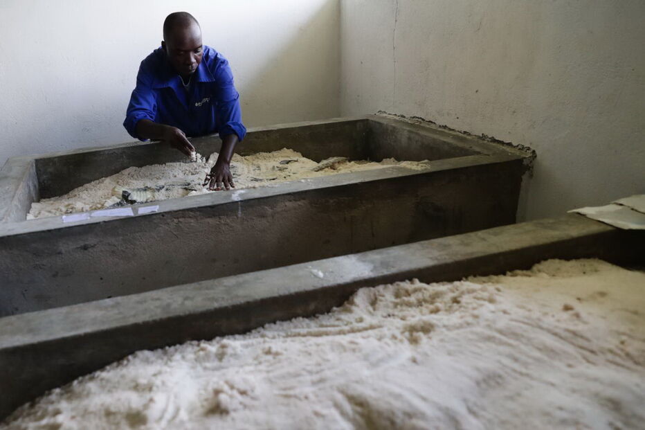 2019-03-26_15_31_20 M2-18067857.JPG