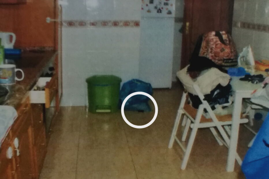 Imagens exclusivas mostram provas recolhidas em casa das gémeas Cupertino