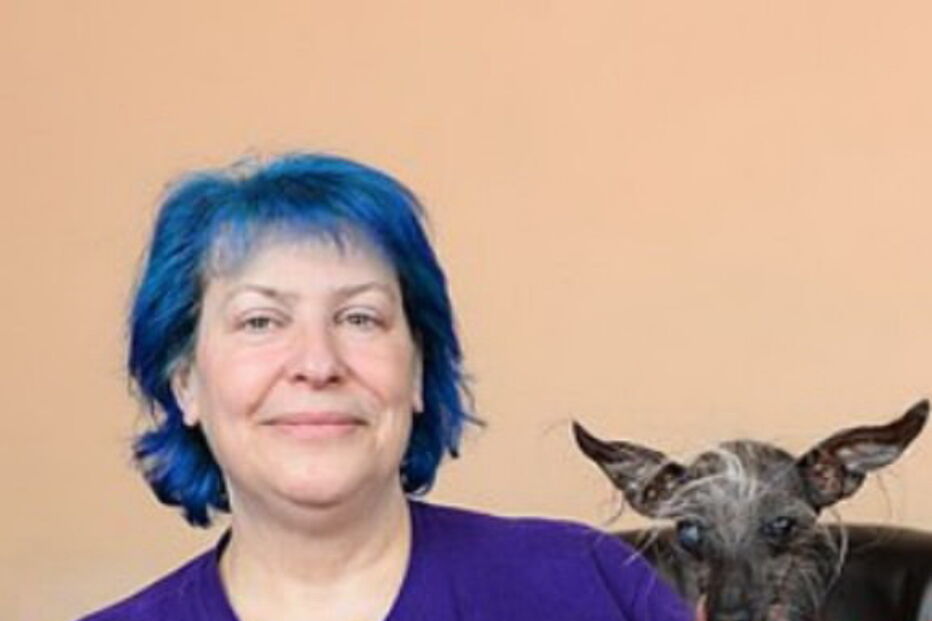 cão mais feio do mundo