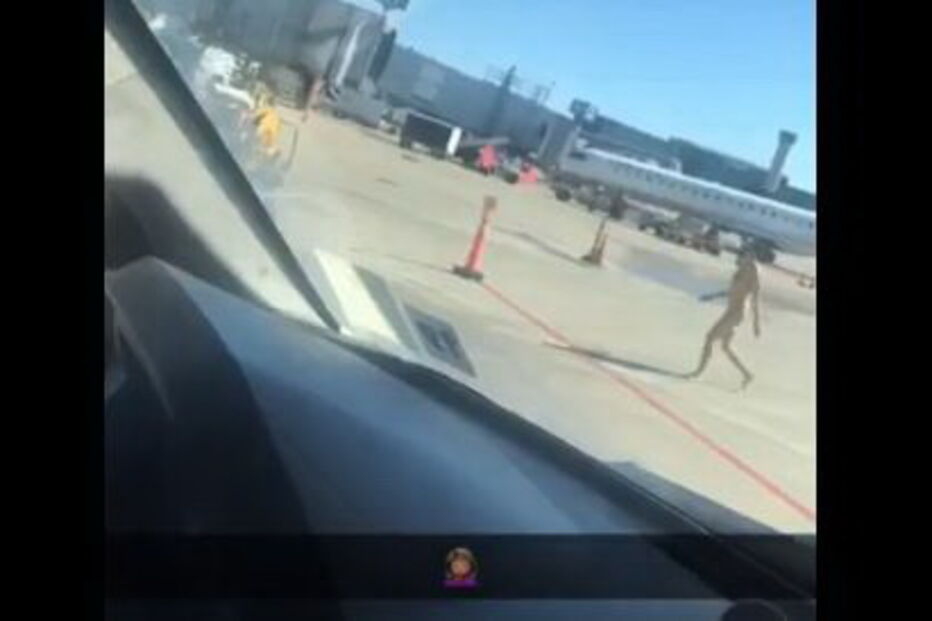 Homem filmado a atravessar aeroporto de Chicago completamente nu