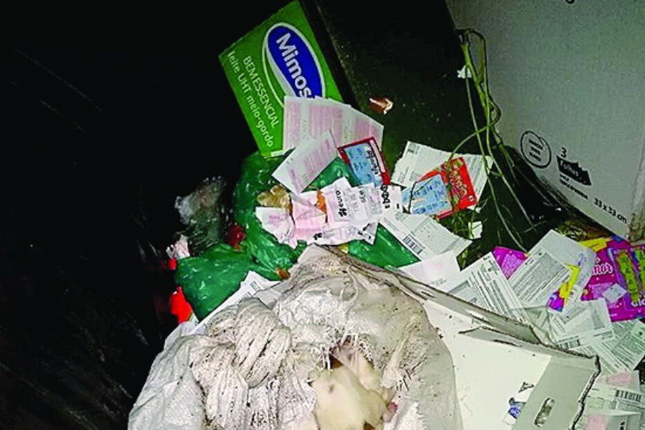 Militares da GNR salvam cães no Fundão