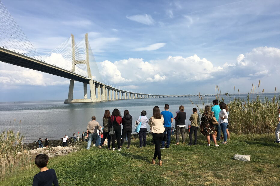Golfinho ferido encontrado na margem do rio Tejo junto ao Parque das Nações em Lisboa